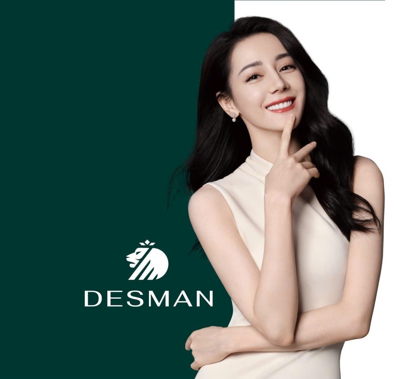 dessmann.net.vn